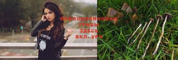 экстази Приозерск